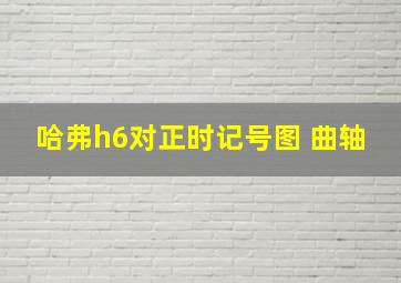 哈弗h6对正时记号图 曲轴